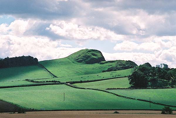 Binny Craig from the north.