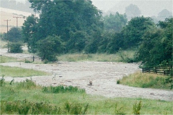 Ecclesmachan Burn - Water, Water Everywhere.